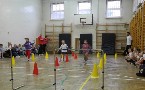 kliknij, aby zobaczy powikszenie