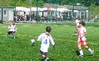 kliknij, aby zobaczy� powi�kszenie