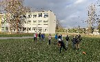 kliknij, aby zobaczy powikszenie
